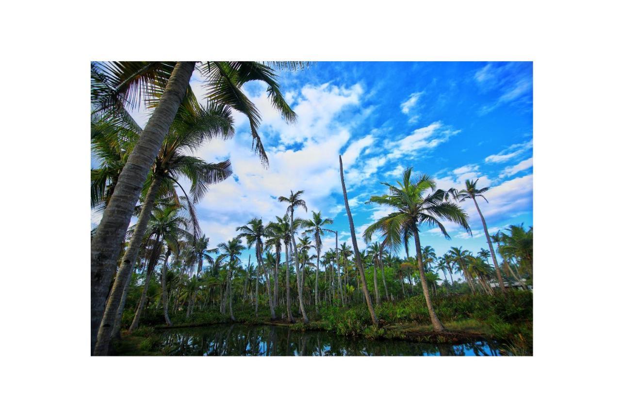 Munroe Island Munroe Paradise 아파트 외부 사진